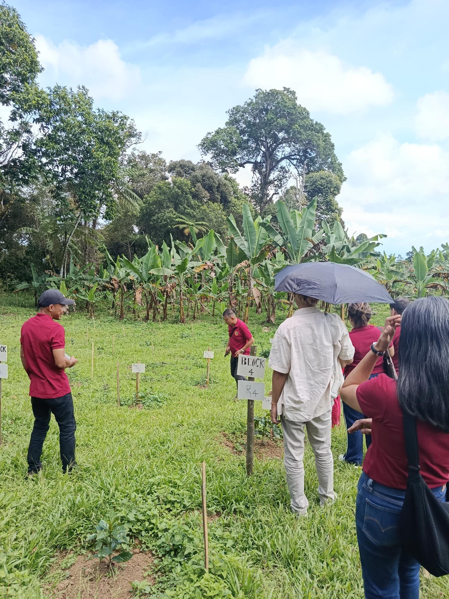 UM and DTI XI Strengthen Bagobo Tagabawa Livelihoods Through Quality Control Training