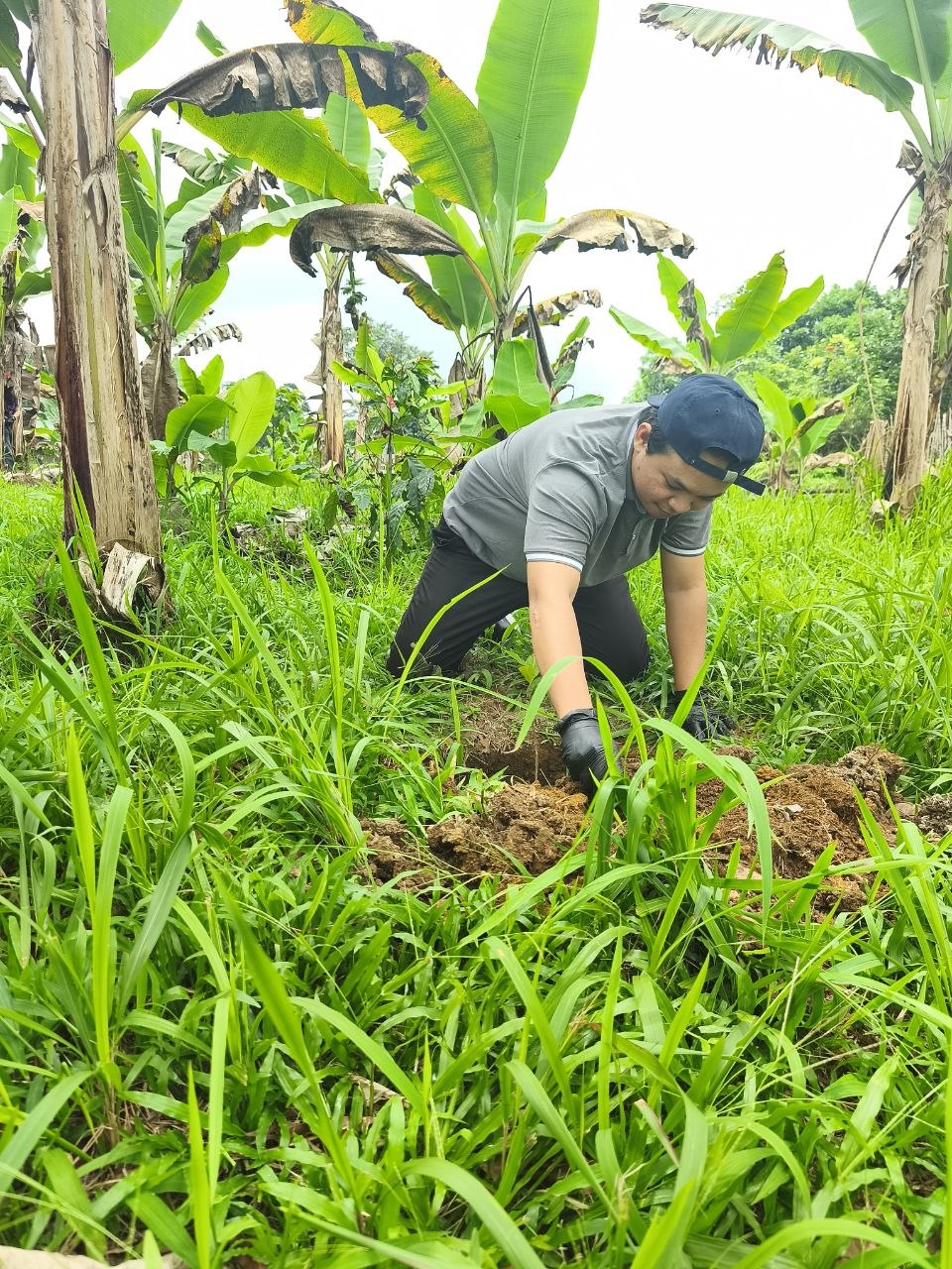 Growing Coffee, Preserving Culture: UM and Bagobo Tagabawa Tribe Unite for Sustainability