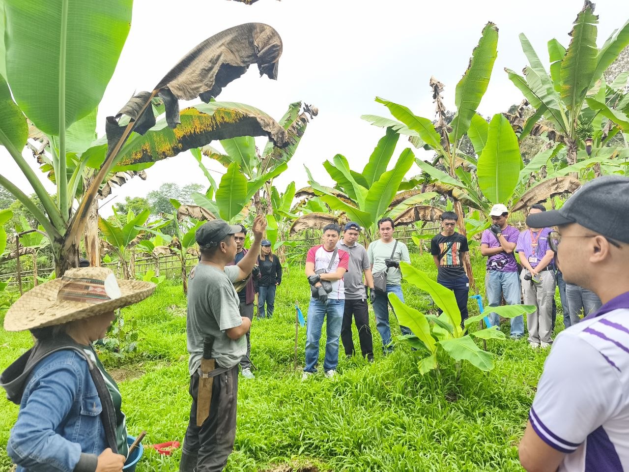 Growing Coffee, Preserving Culture: UM and Bagobo Tagabawa Tribe Unite for Sustainability