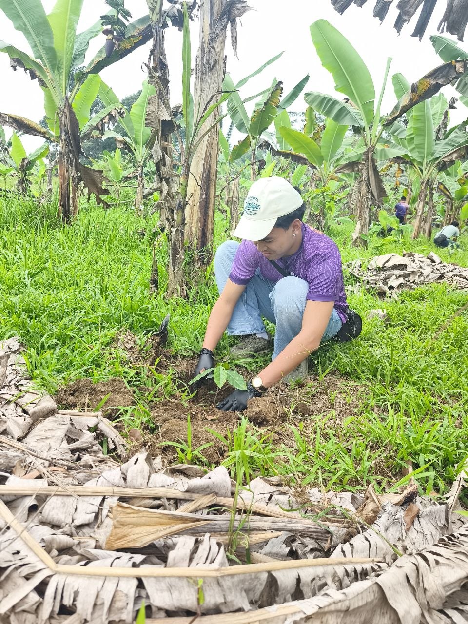 Growing Coffee, Preserving Culture: UM and Bagobo Tagabawa Tribe Unite for Sustainability