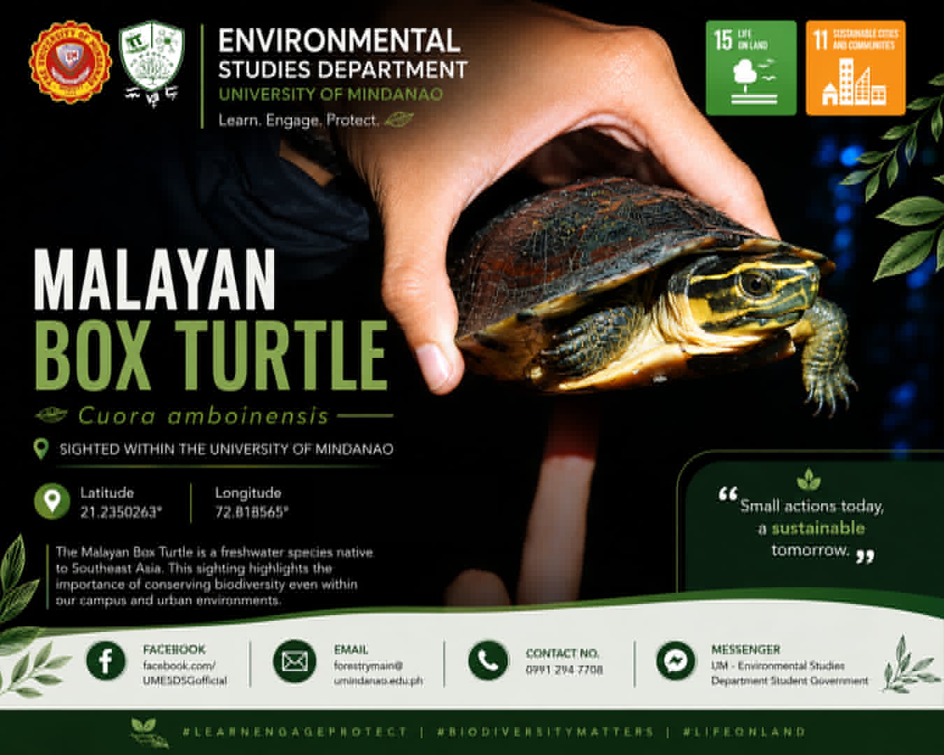 Malayan Box Turtles Spotted Within the University of Mindanao